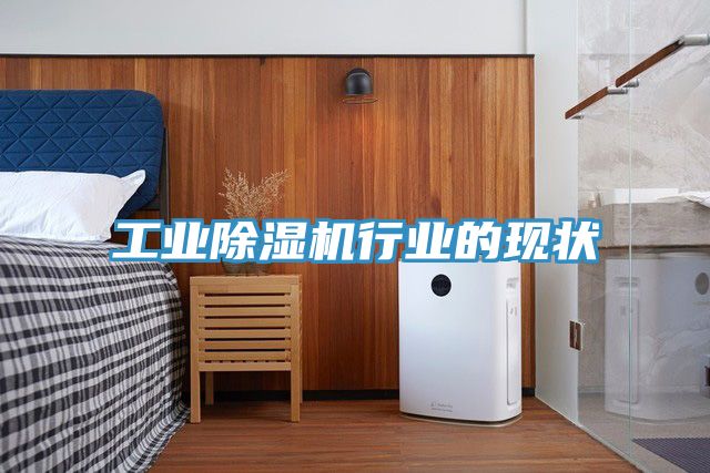 工業91看片软件大全行業的現狀