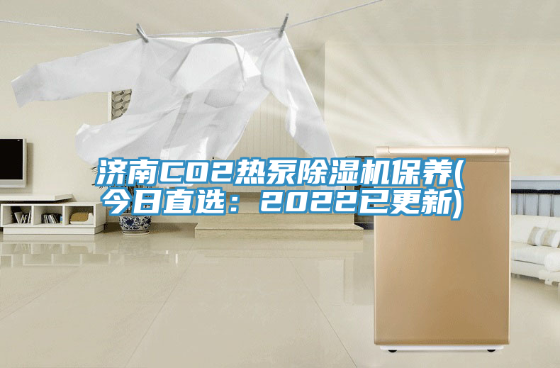 濟南CO2熱泵91看片软件大全保養(今日直選：2022已更新)