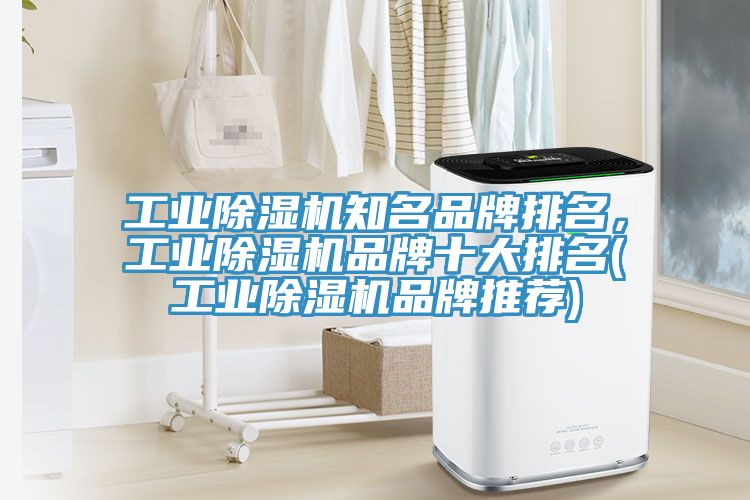 工業91看片软件大全知名品牌排名，工業91看片软件大全品牌十大排名(工業91看片软件大全品牌推薦)