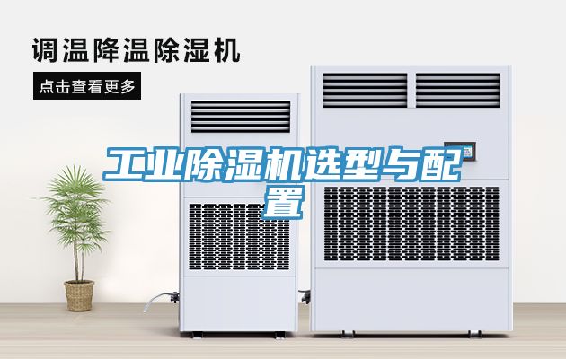 工業91看片软件大全選型與配置