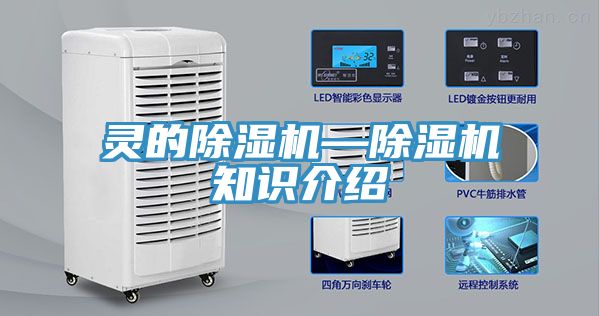 靈的91看片软件大全—91看片软件大全知識介紹