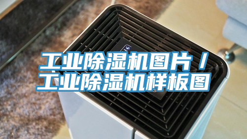 工業91看片软件大全圖片／工業91看片软件大全樣板圖