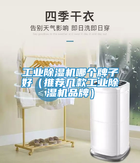 工業91看片软件大全哪個牌子好（推薦幾款工業91看片软件大全品牌）