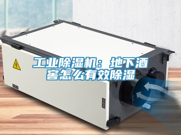 工業91看片软件大全：地下酒窖怎麽有效除濕