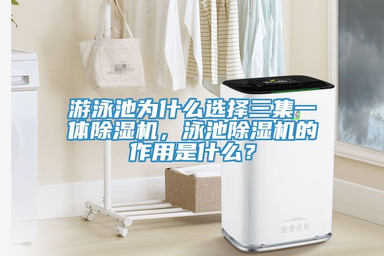 遊泳池為什麽選擇三集一體91看片软件大全，泳池91看片软件大全的作用是什麽？