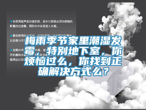 梅雨季節家裏潮濕發黴，特別地下室，你煩惱過麽，你找到正確解決方式麽？