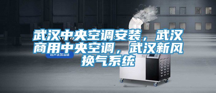 武漢中央空調安裝，武漢商用中央空調，武漢新風換氣係統