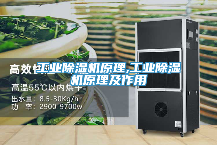 工業91看片软件大全原理,工業91看片软件大全原理及作用