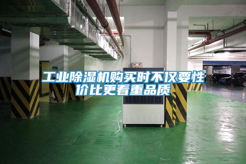 工業91看片软件大全購買時不僅要性價比更看重品質