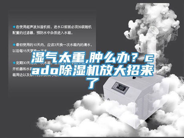 濕氣太重,腫麽辦？cado91看片软件大全放大招來了