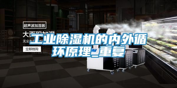 工業91看片软件大全的內外循環原理_重複