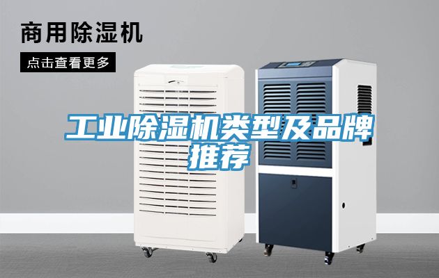 工業91看片软件大全類型及品牌推薦