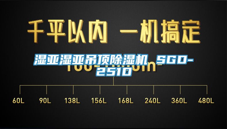 濕亞濕亞吊頂91看片软件大全 SGD-251D