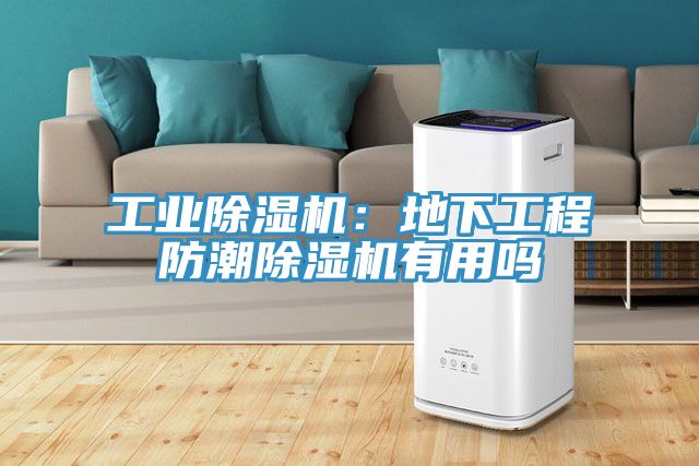 工業91看片软件大全：地下工程防潮91看片软件大全有用嗎