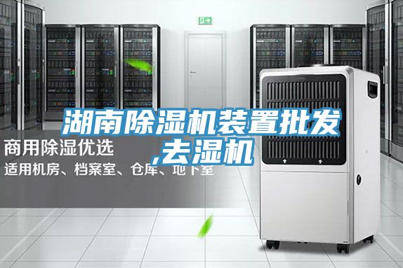 湖南91看片软件大全裝置批發,去濕機