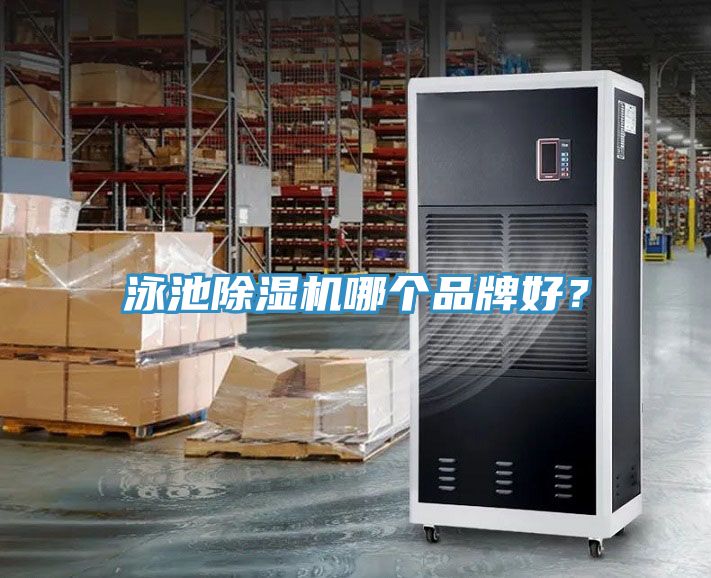 泳池91看片软件大全哪個品牌好？