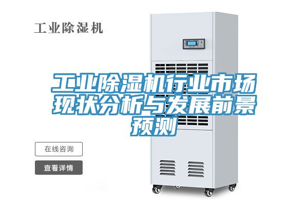 工業91看片软件大全行業市場現狀分析與發展前景預測