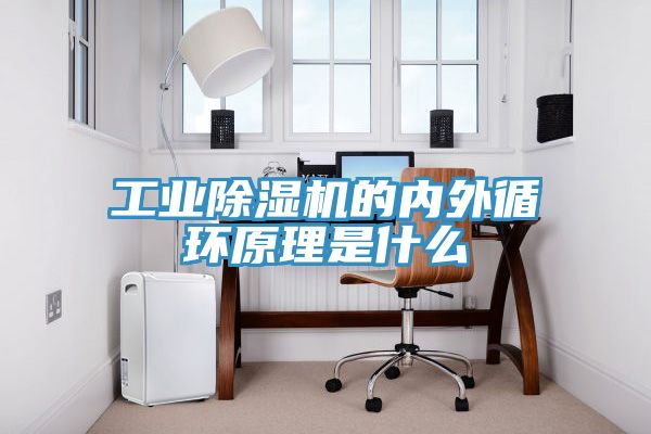 工業91看片软件大全的內外循環原理是什麽