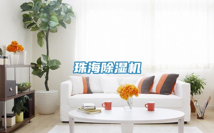 珠海91看片软件大全