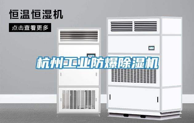 杭州工業防爆91看片软件大全