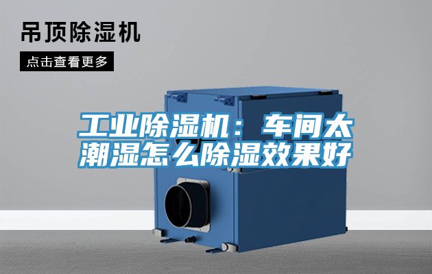 工業91看片软件大全：車間太潮濕怎麽除濕效果好