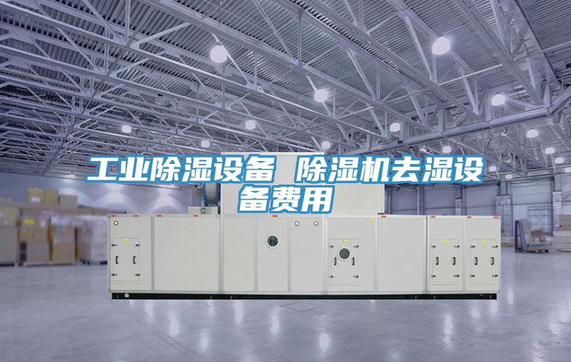 工業除濕設備 91看片软件大全去濕設備費用