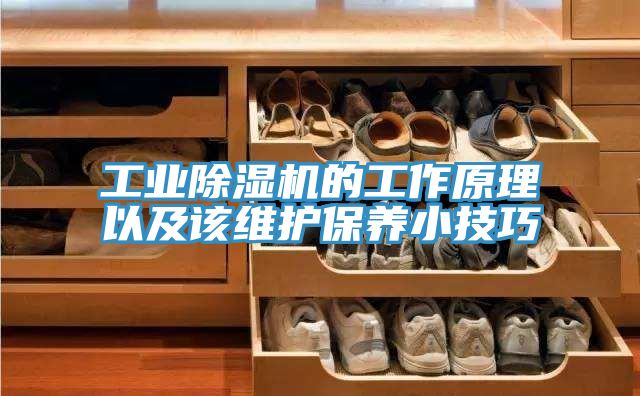 工業91看片软件大全的工作原理以及該維護保養小技巧