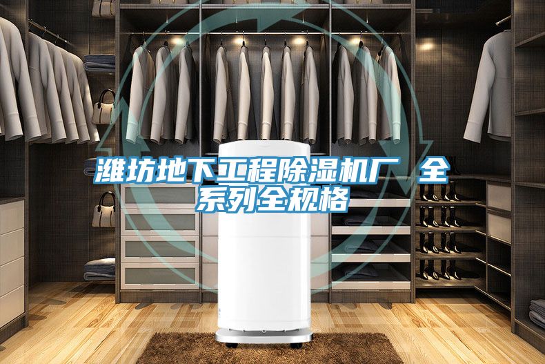 濰坊地下工程91看片软件大全廠 全係列全規格