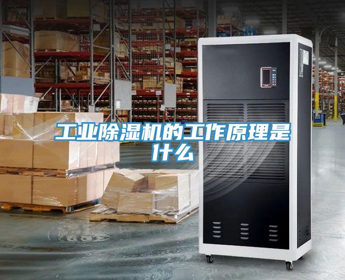 工業91看片软件大全的工作原理是什麽