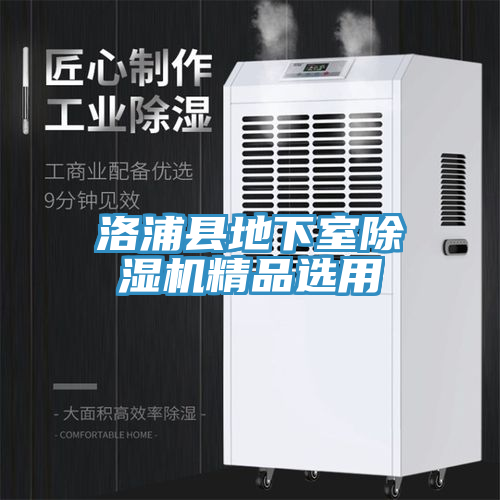 洛浦縣地下室91看片软件大全精品選用