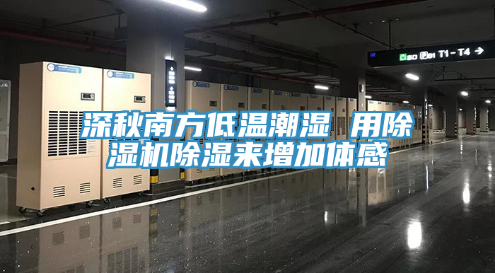 深秋南方低溫潮濕 用91看片软件大全除濕來增加體感