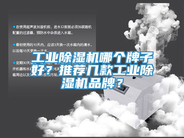 工業91看片软件大全哪個牌子好？推薦幾款工業91看片软件大全品牌？
