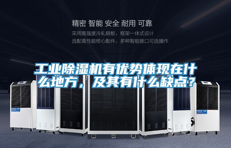工業91看片软件大全有優勢體現在什麽地方，及其有什麽缺點？