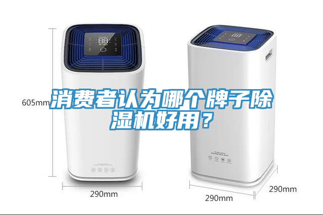 消費者認為哪個牌子91看片软件大全好用？