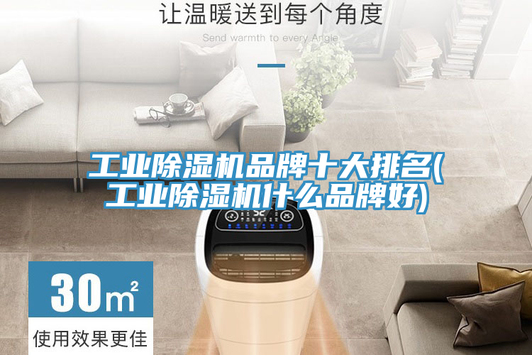 工業91看片软件大全品牌十大排名(工業91看片软件大全什麽品牌好)
