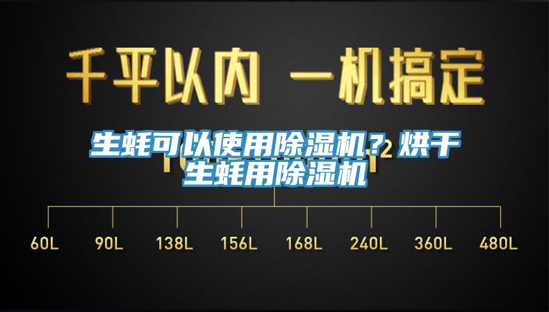 生蠔可以使用91看片软件大全？烘幹生蠔用91看片软件大全