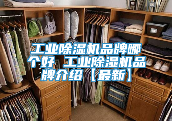 工業91看片软件大全品牌哪個好 工業91看片软件大全品牌介紹【最新】