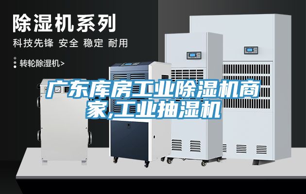 廣東庫房工業91看片软件大全商家,工業抽濕機