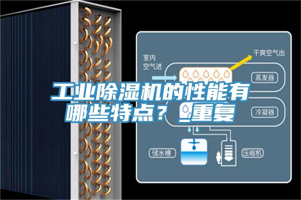 工業91看片软件大全的性能有哪些特點？_重複