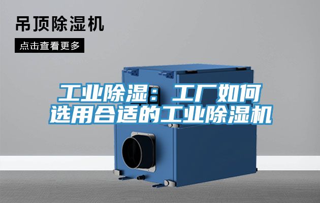 工業除濕：工廠如何選用合適的工業91看片软件大全