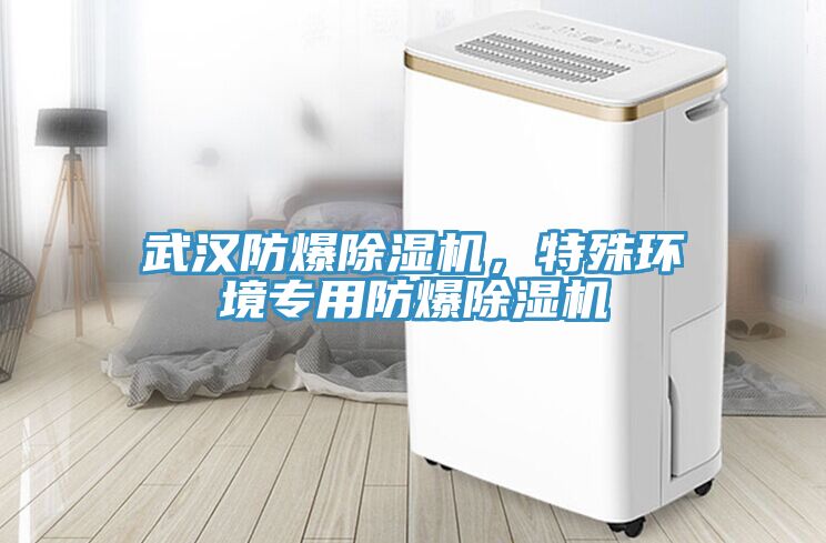 武漢防爆91看片软件大全，特殊環境專用防爆91看片软件大全