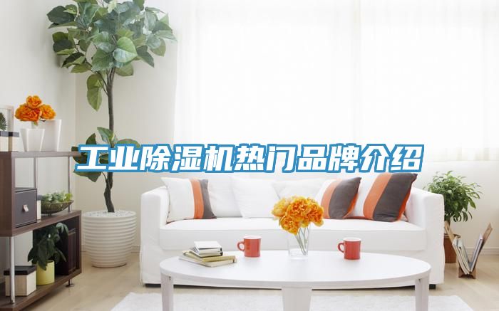 工業91看片软件大全熱門品牌介紹