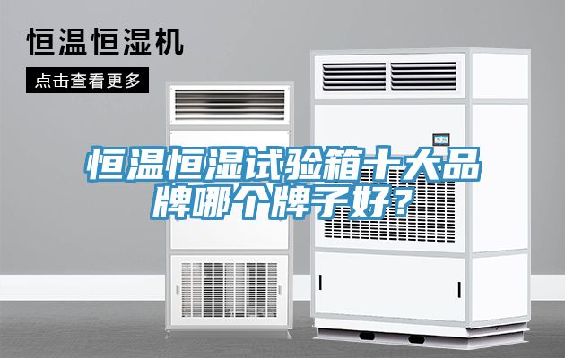 恒溫恒濕試驗箱十大品牌哪個牌子好？