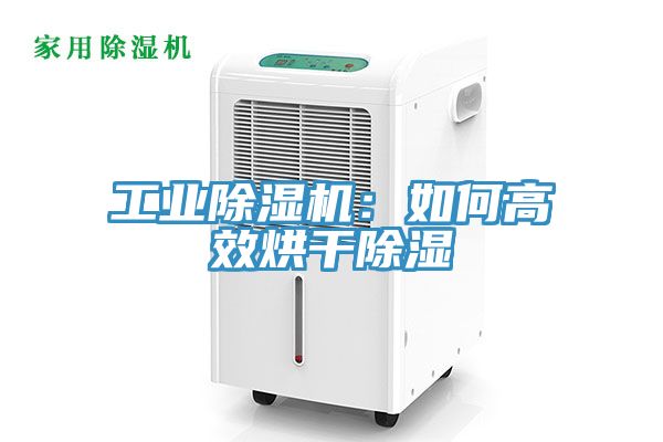 工業91看片软件大全：如何高效烘幹除濕