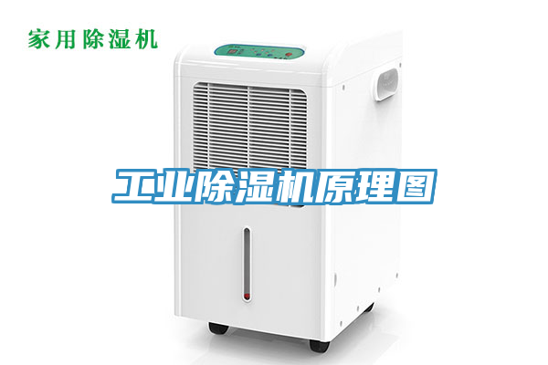 工業91看片软件大全原理圖