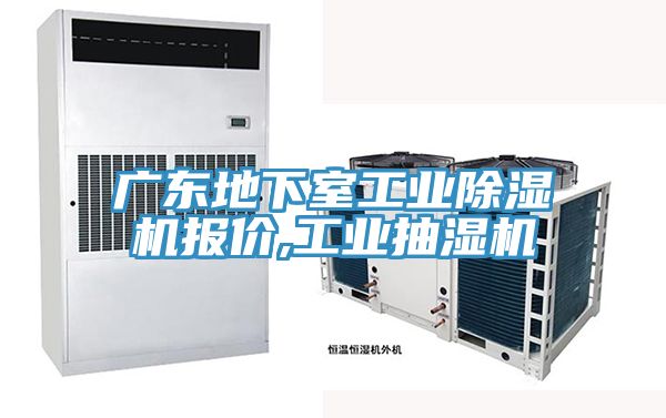 廣東地下室工業91看片软件大全報價,工業抽濕機