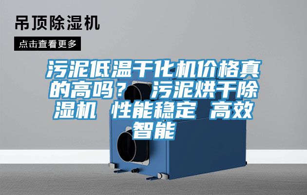汙泥低溫幹化機價格真的高嗎？ 汙泥烘幹91看片软件大全 性能穩定 高效智能