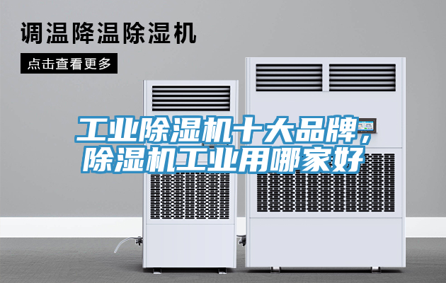 工業91看片软件大全十大品牌，91看片软件大全工業用哪家好