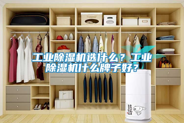 工業91看片软件大全選什麽？工業91看片软件大全什麽牌子好？