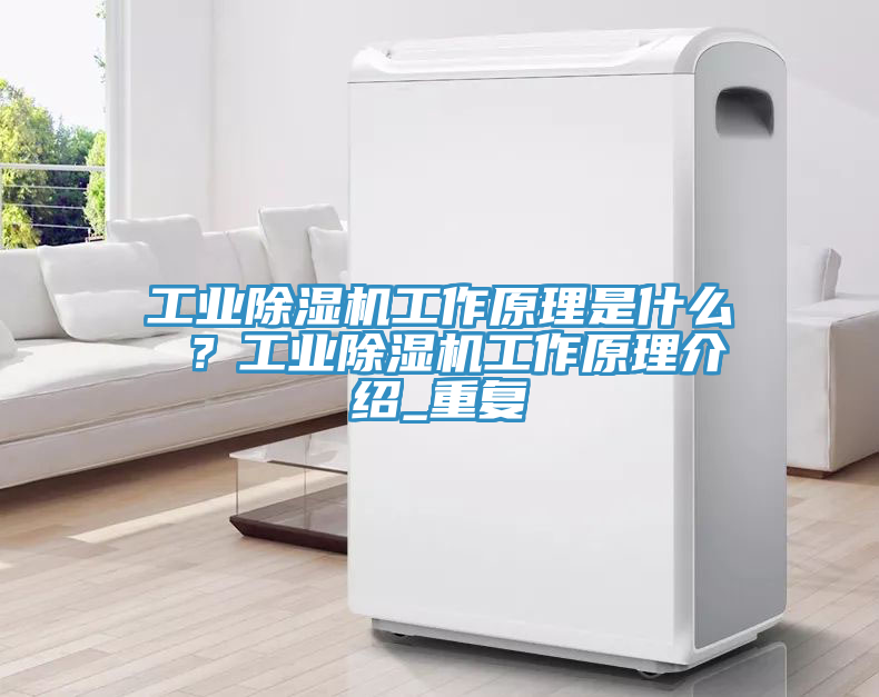 工業91看片软件大全工作原理是什麽 ？工業91看片软件大全工作原理介紹_重複